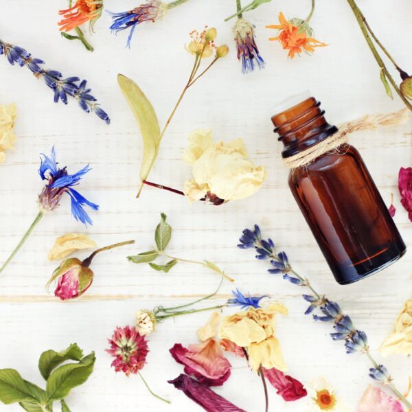 Aromatic essential oil. Top view dropper bottle among colourful dried flowers, medicinal herbs gathering, scattered white wooden table.